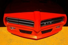 IMG_9231