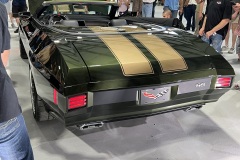 IMG_1396