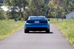 6876aa5347273_blorentz-transam-rear-1